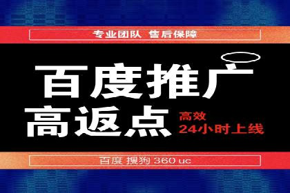百度优化推广策略解析与应用案例